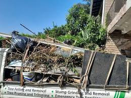 Best Electronics and E-Waste Disposal  in Holly Springs, GA